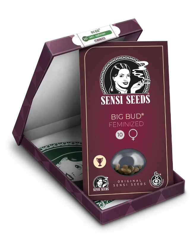 Sensi Seeds - Big Bud Feminisierte Hanfsamen