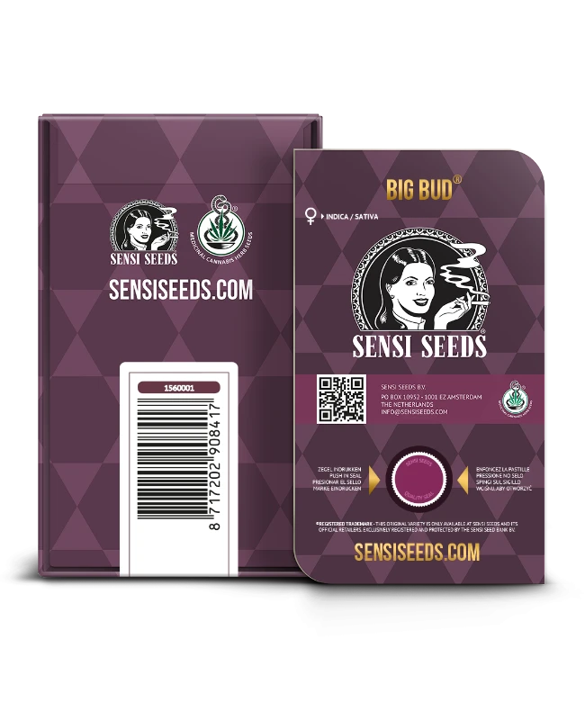 Sensi Seeds - Big Bud Feminisierte Hanfsamen