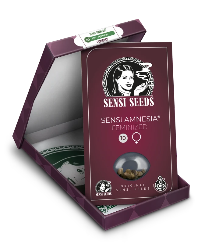 Sensi Seeds - Sensi Amnesia Feminisierte Hanfsamen