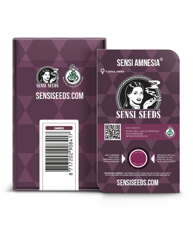 Sensi Seeds - Sensi Amnesia Feminisierte Hanfsamen