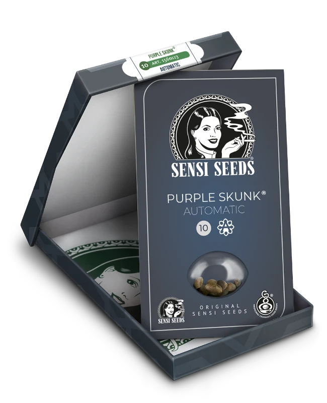 Sensi Seeds - Purple Skunk Automatic