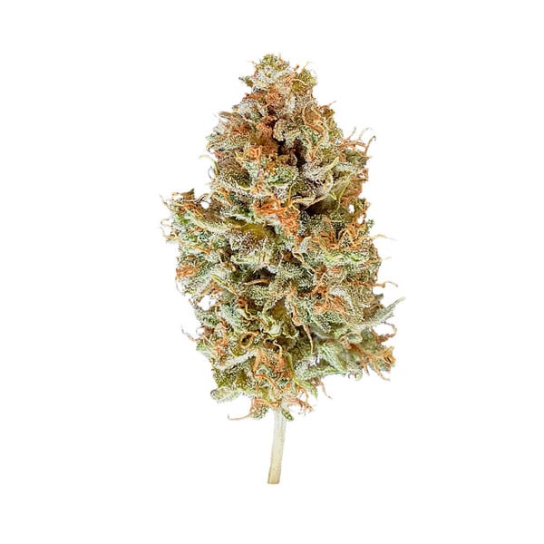 Royal Queen Seeds - Easy Bud